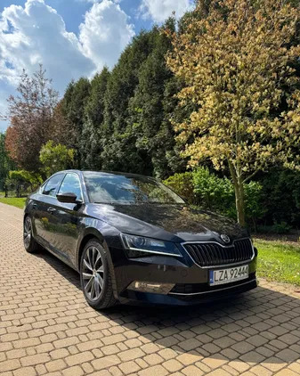 samochody osobowe Skoda Superb cena 95000 przebieg: 180600, rok produkcji 2018 z Zamość